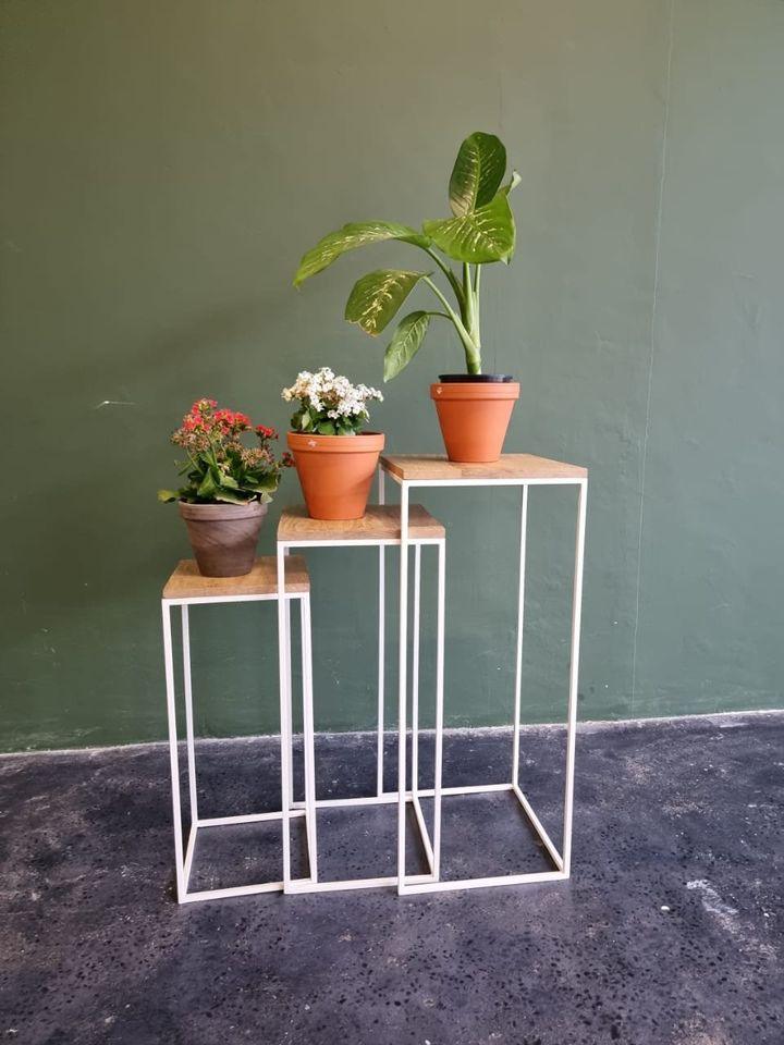 Ingy Plant Stands - Timber Furniture Designs