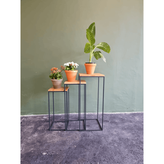 Ingy Plant Stands - Timber Furniture Designs